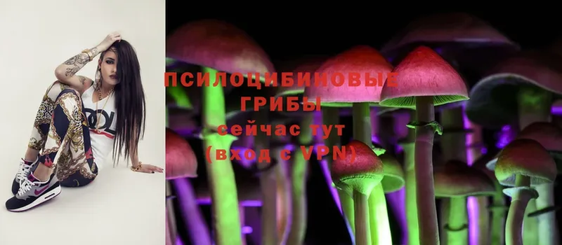 Галлюциногенные грибы MAGIC MUSHROOMS Долинск